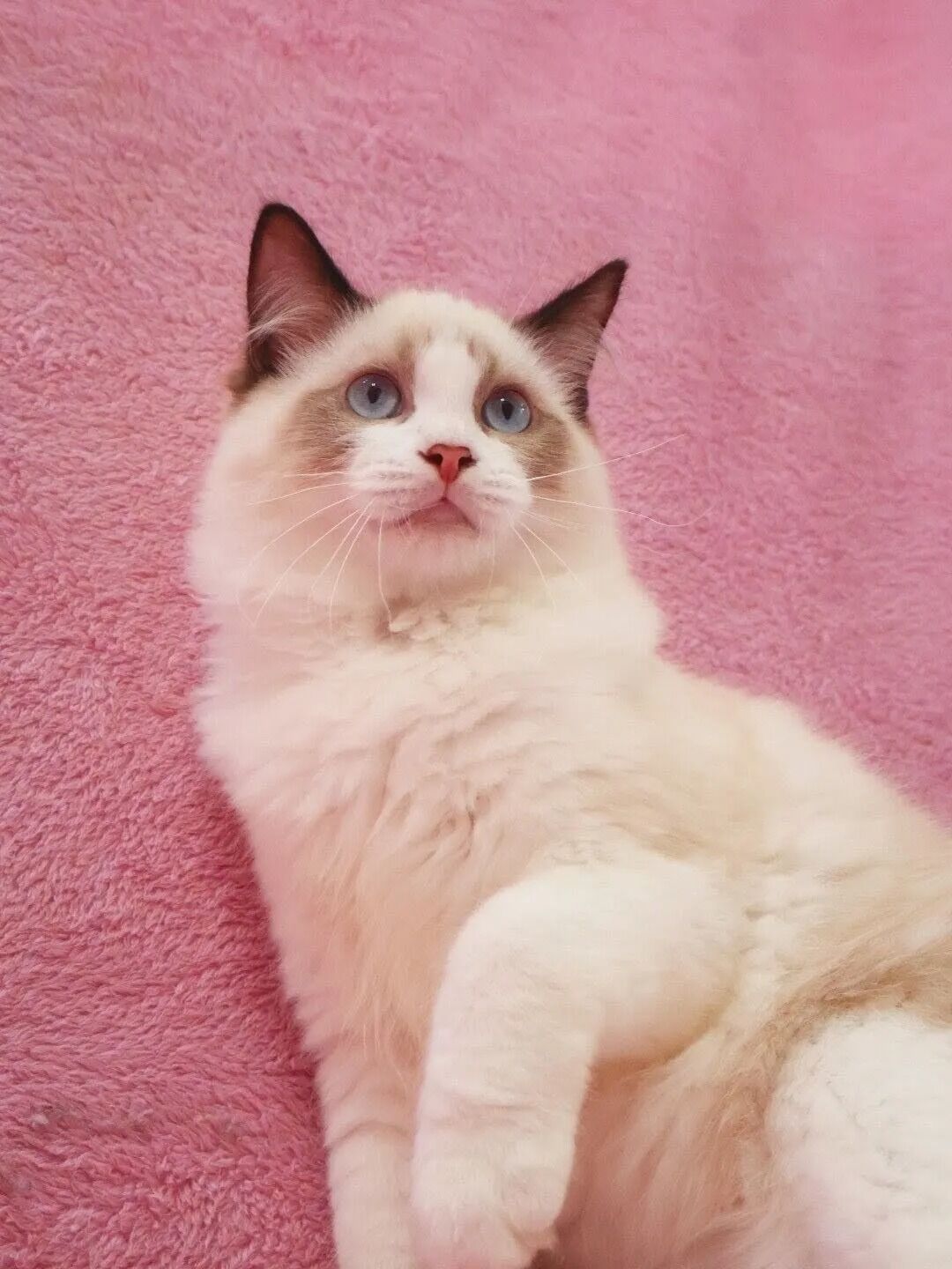 素敵なご縁に感謝