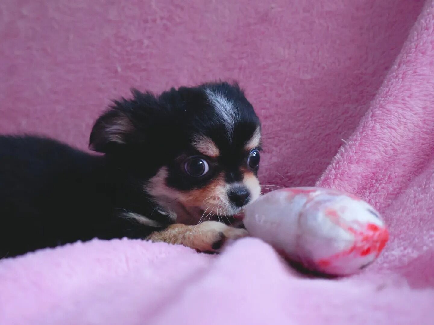素敵なご縁に感謝