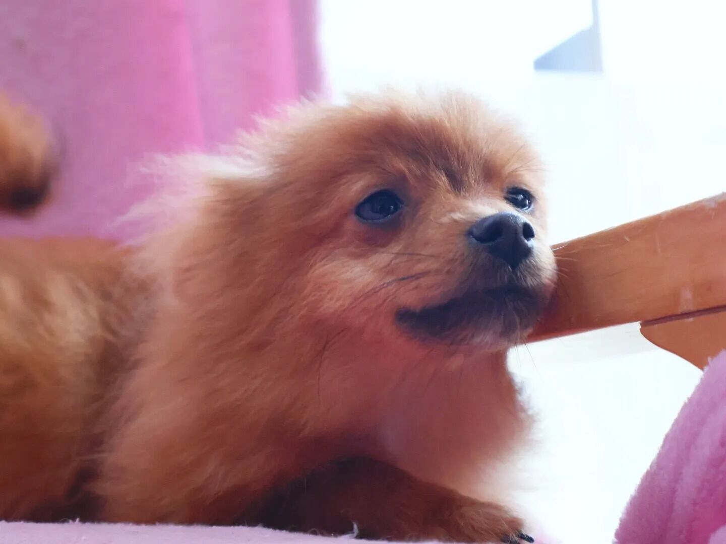 素敵なご縁に感謝