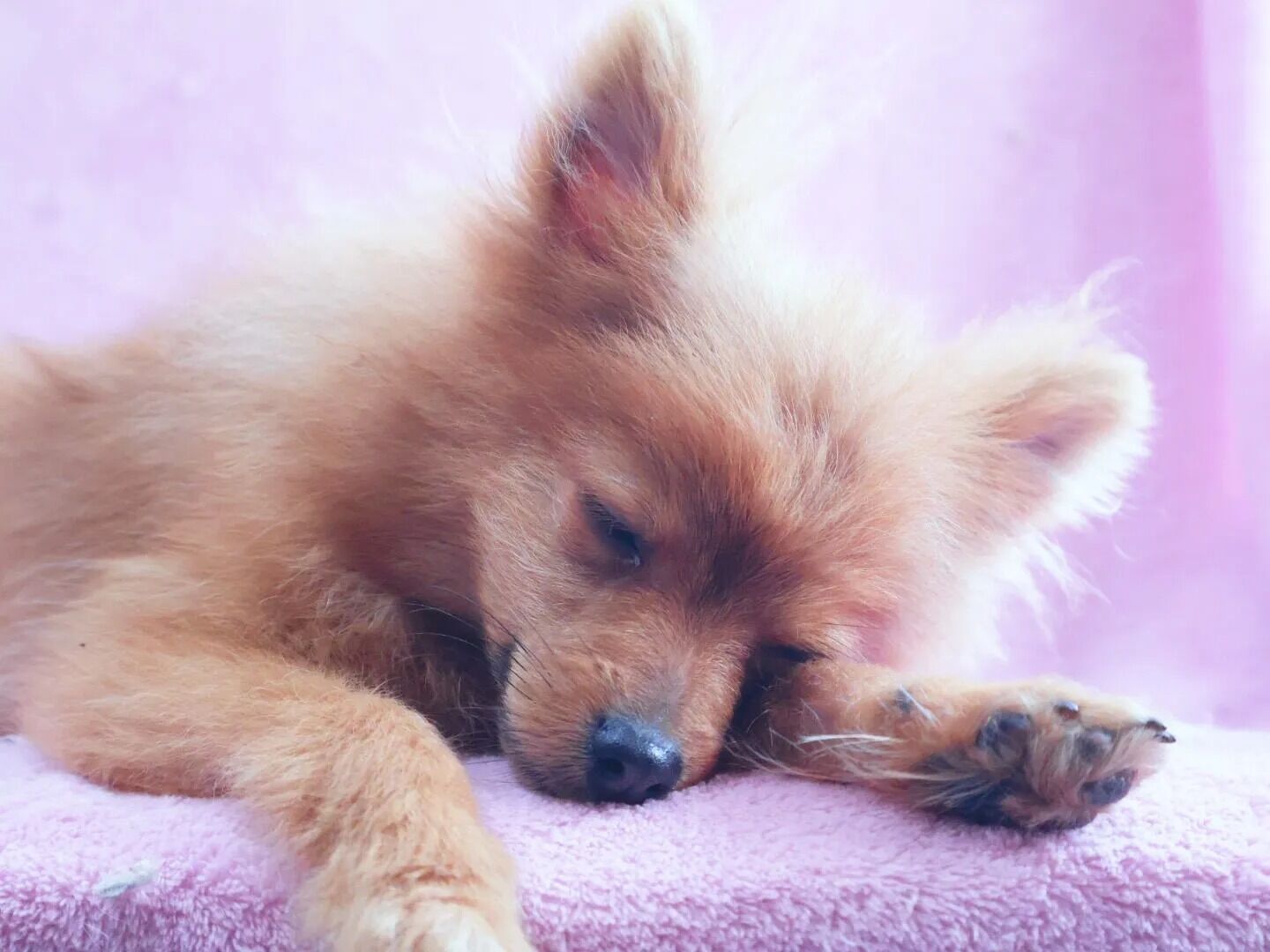 素敵なご縁に感謝