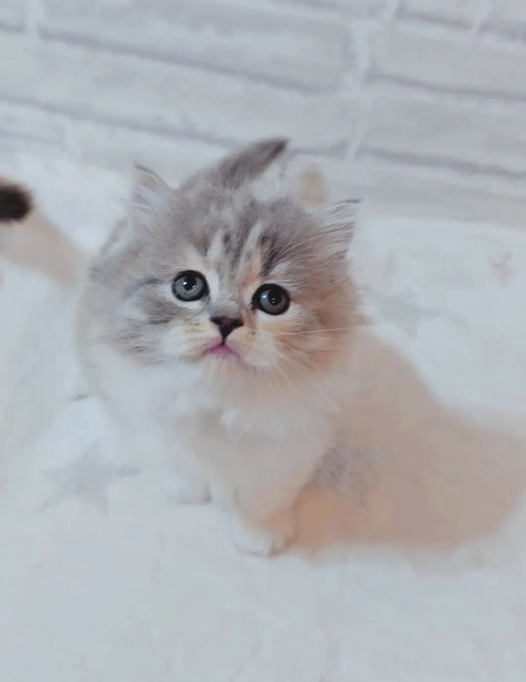 素敵なご縁に感謝