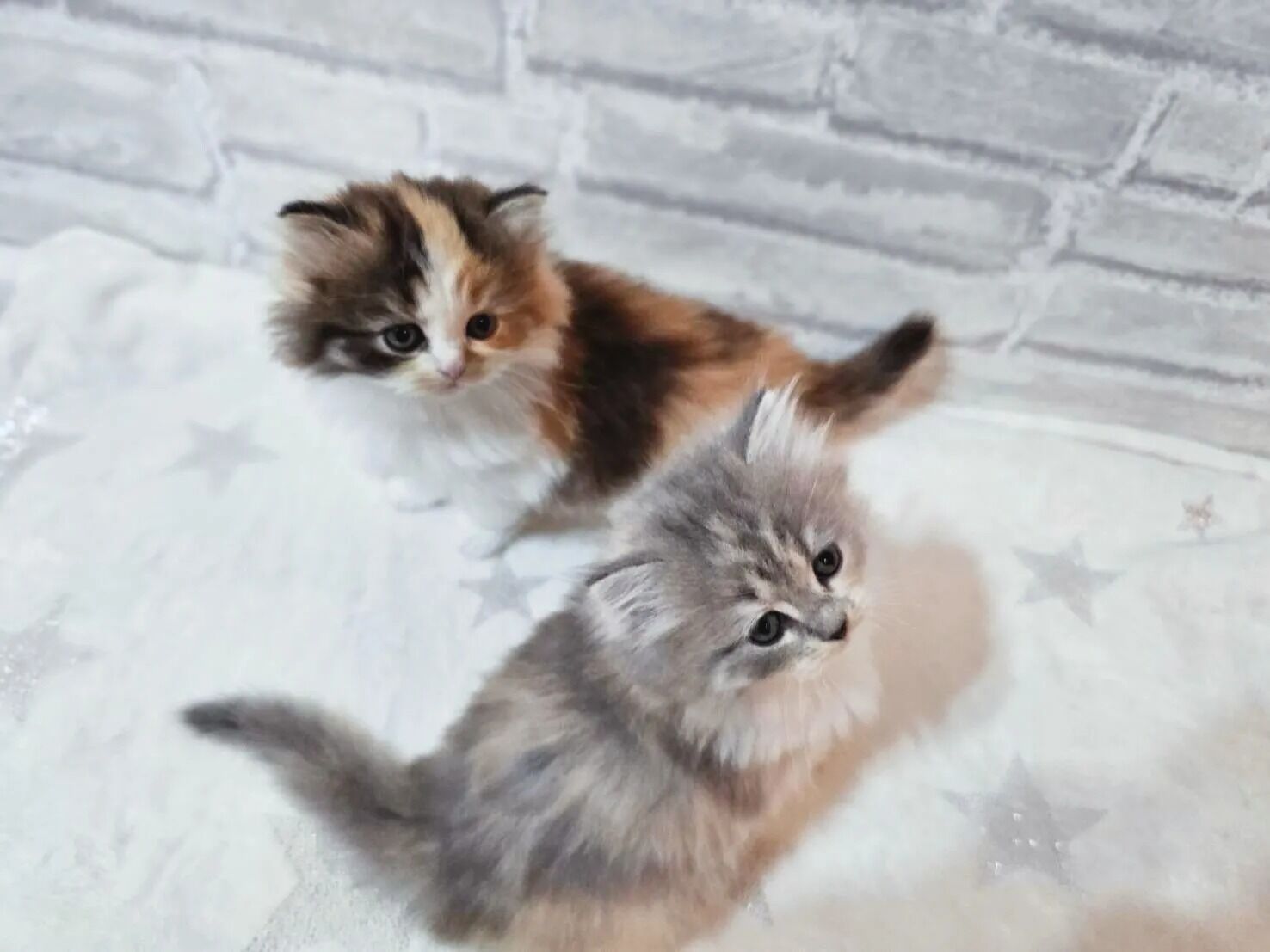素敵なご縁に感謝