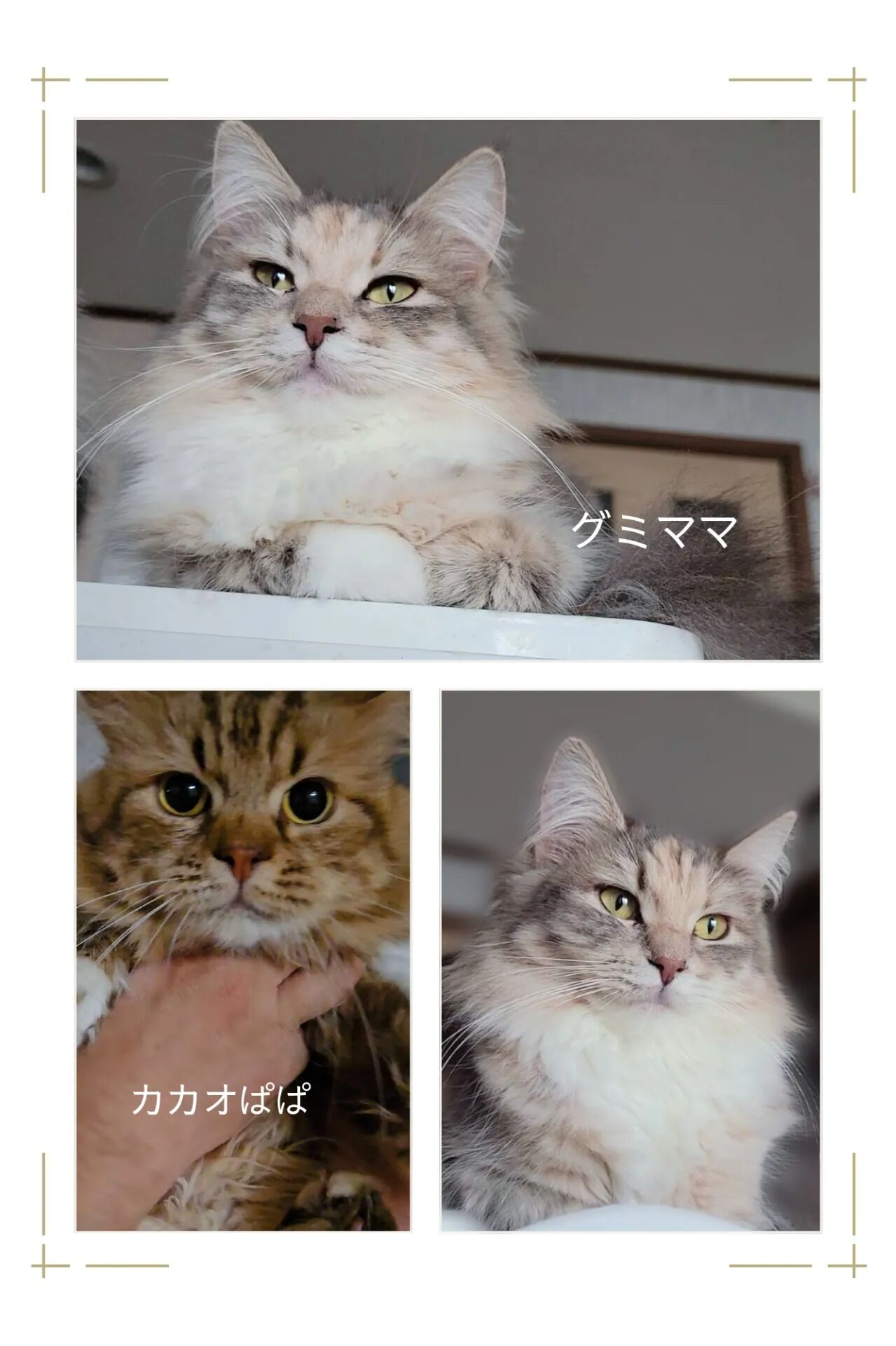 素敵なご縁に感謝