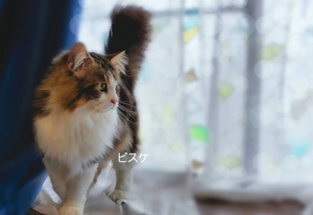 素敵なご縁に感謝