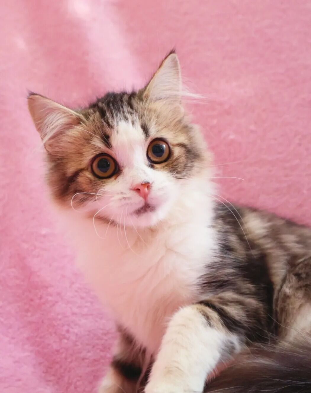素敵なご縁に感謝
