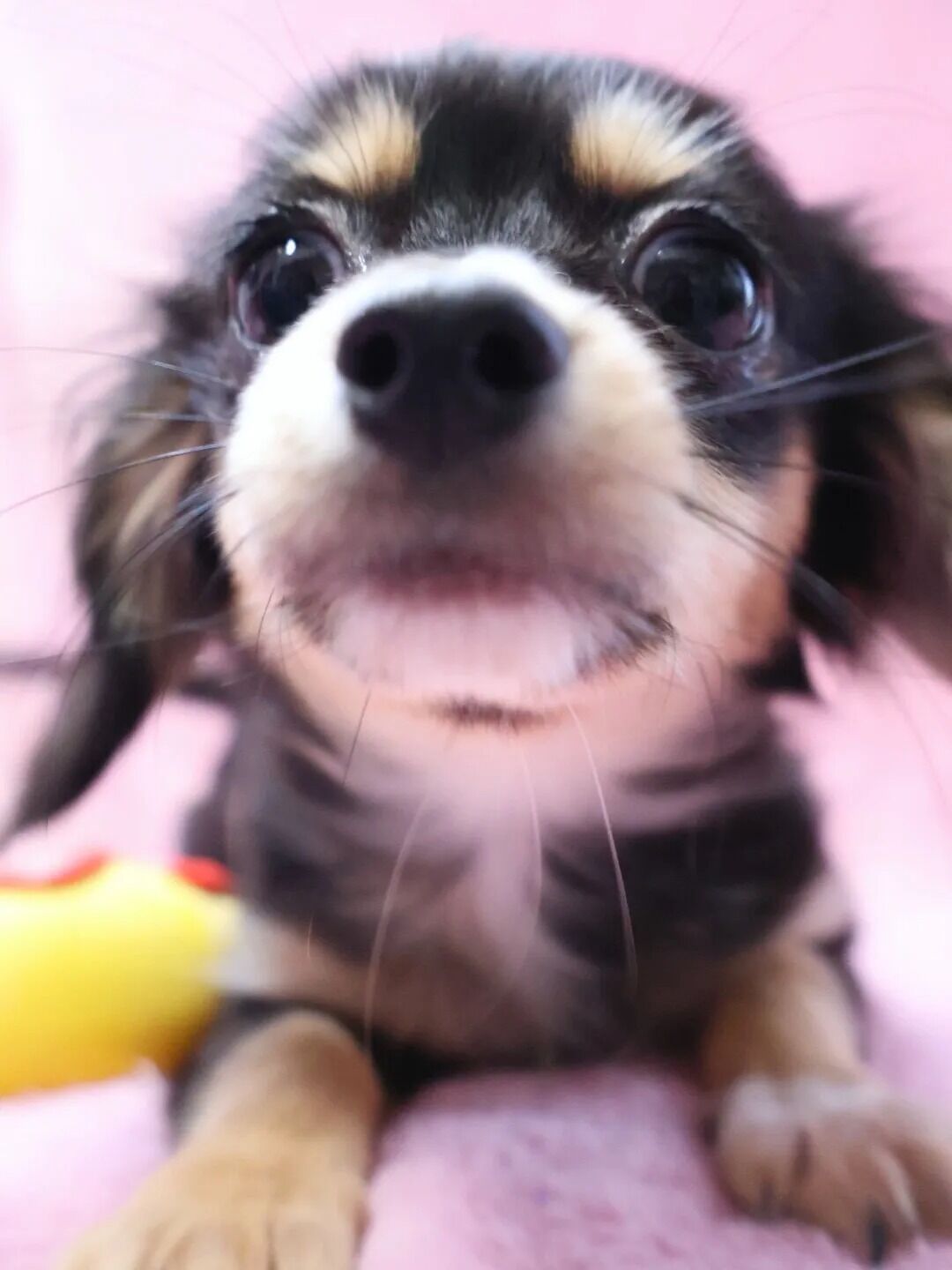 素敵なご縁に感謝