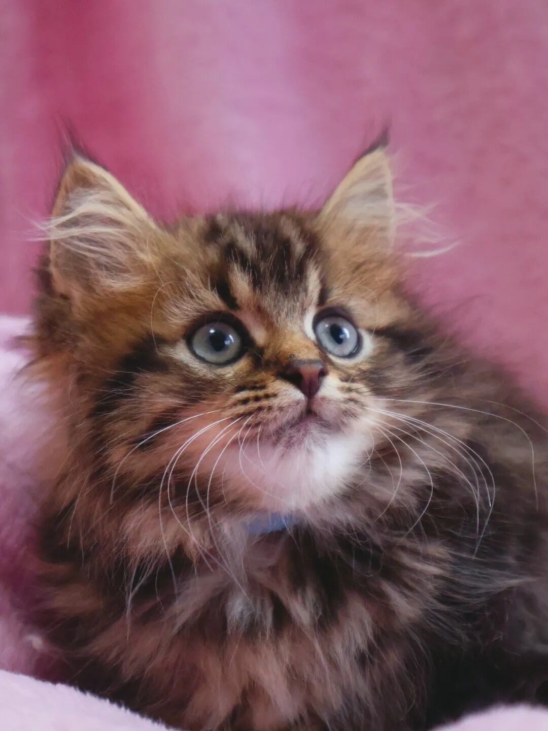 素敵なご縁に感謝