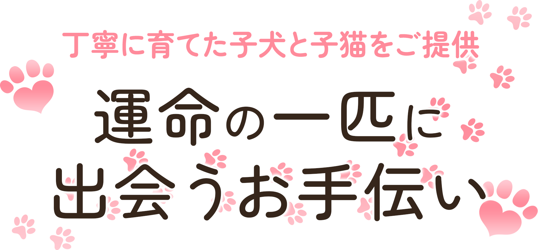 運命の一匹に出会うお手伝い