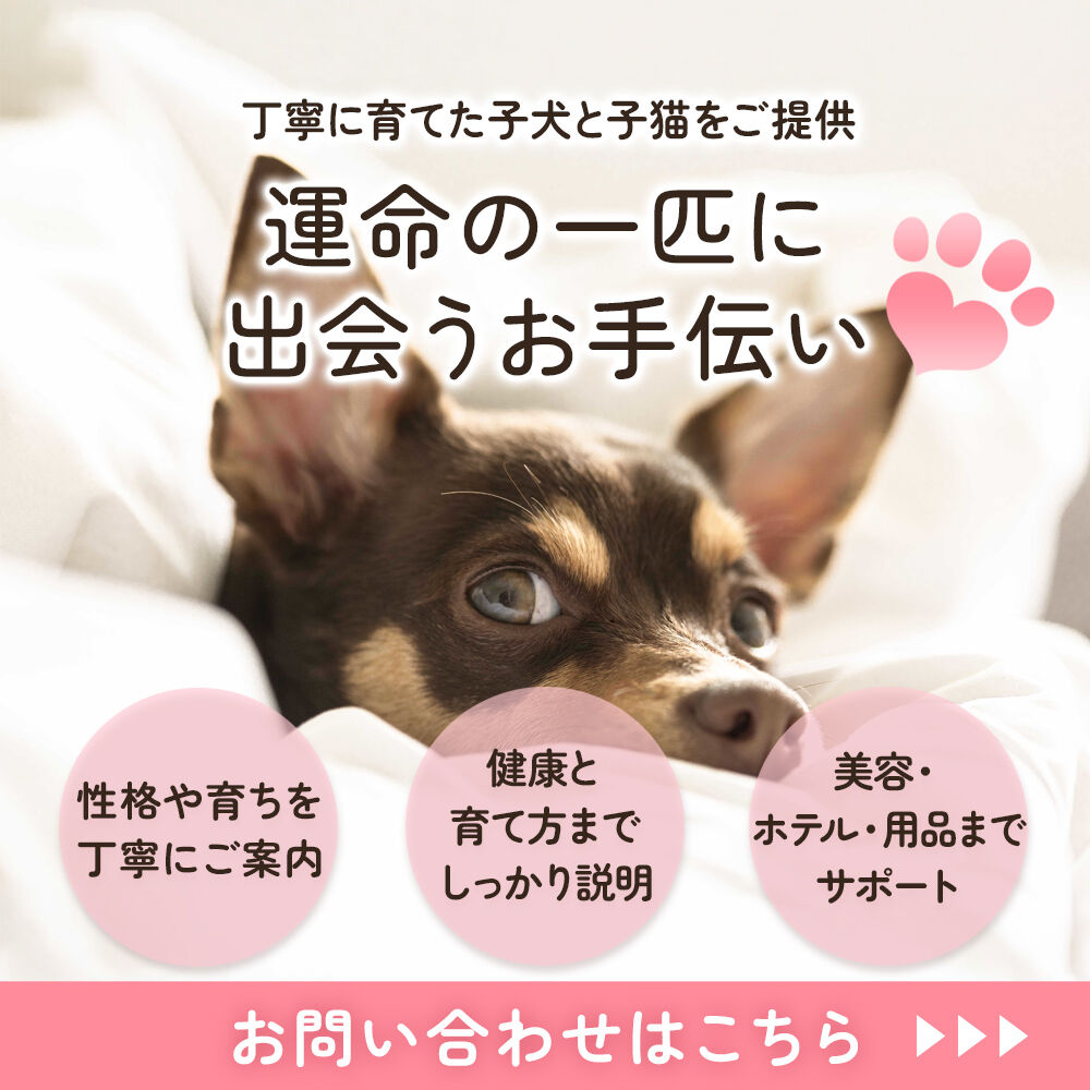 modal_banner